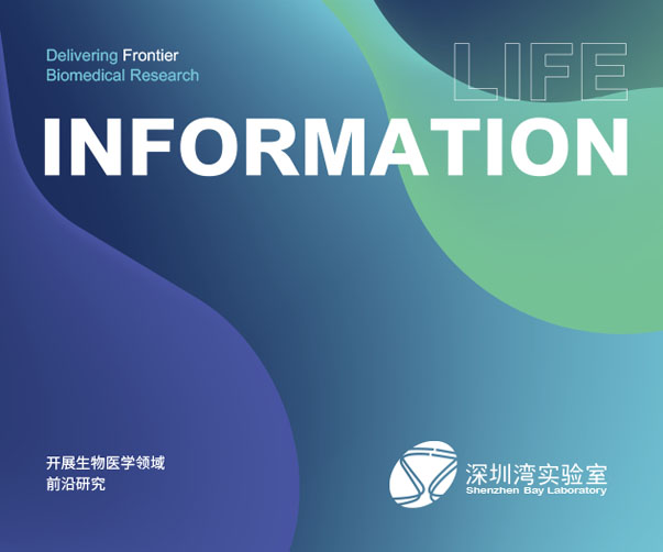 企業(yè)形象VI設計容易犯錯的15個問題