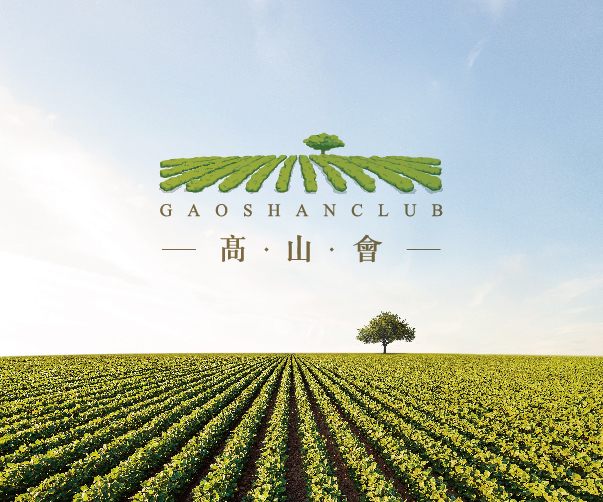 品牌重塑的技巧：廣州VI設計公司的專業實踐分享