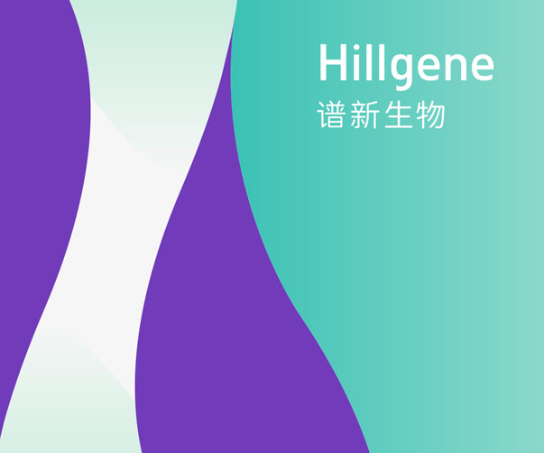 神秘與技術的交織：探討游戲Logo設計的新范式